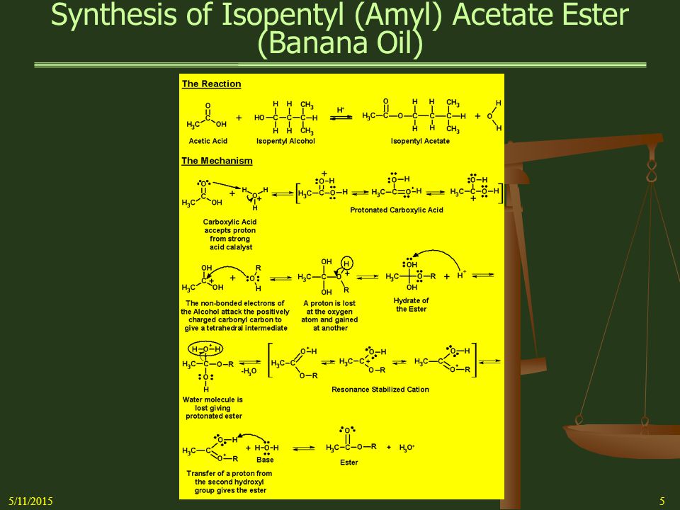 Preparation of Ester Derivatives of Fatty Acids for Chromatographic Analysis